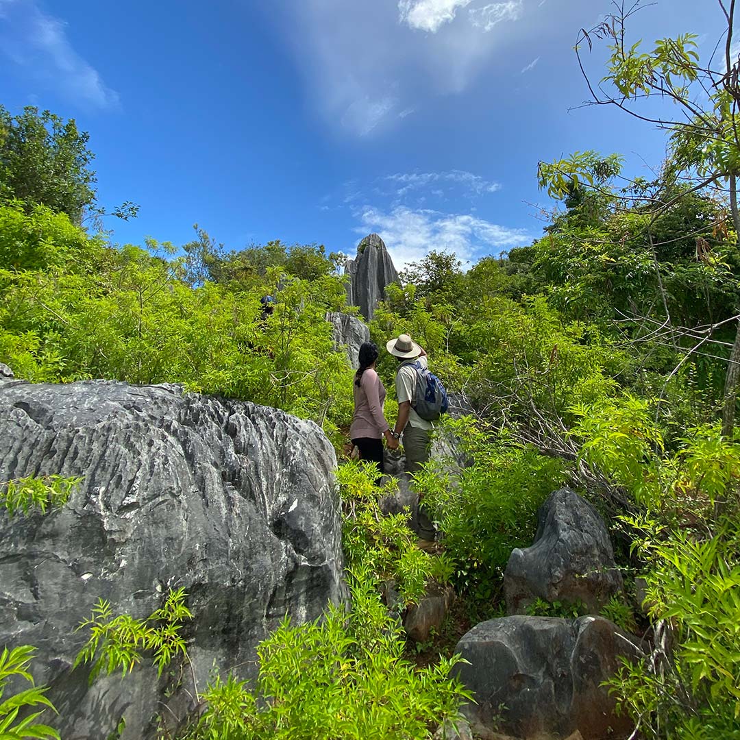 Bosque de Piedra Cueva Lucero Puerto Rico Hiking Trails