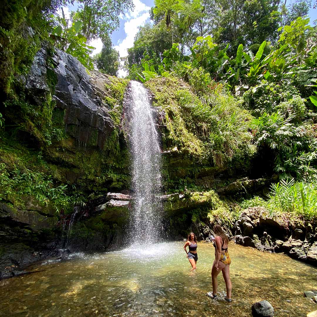 Las Delicias Waterfall Hiking Excursion Puerto Rico
