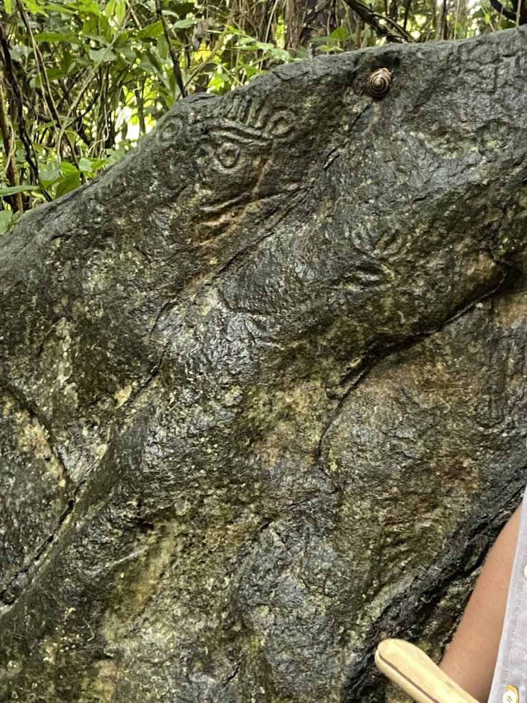 La-Mina-El-Yunque